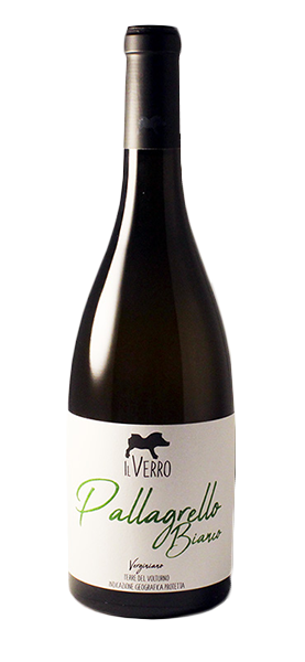 Pallagrello Bianco Terre del Volturno IGT 2022 Weißwein Svinando DE