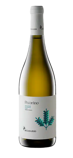 Pecorino Terre di Chieti IGP 2023 Weißwein Svinando DE